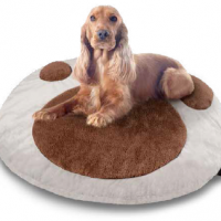 collection-oup-coussin-chien-chat-biotex-france