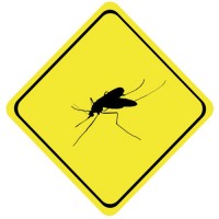 mosquito-couv
